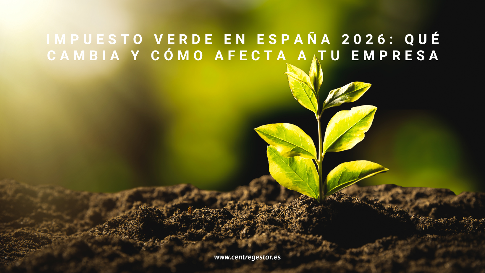Impuesto verde en España en 2026: imagen conceptual sobre fiscalidad verde y su impacto en las empresas.